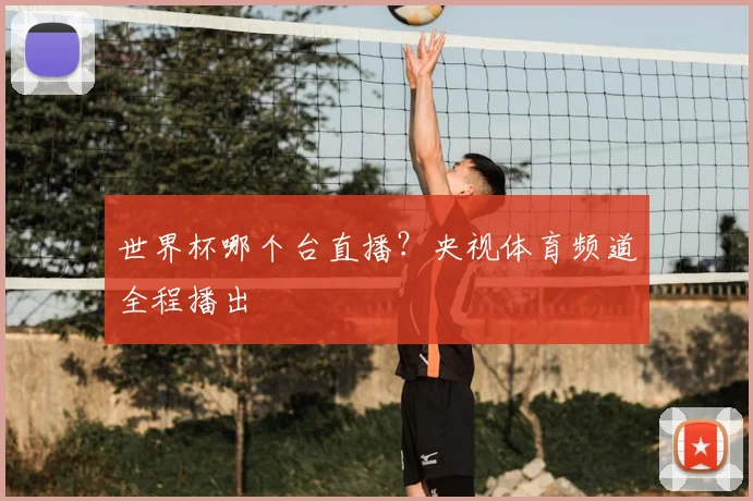 世界杯哪个台直播?央视体育频道全程播出