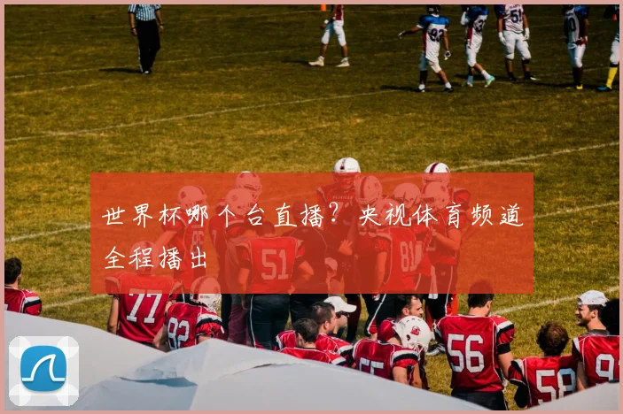 世界杯哪个台直播?央视体育频道全程播出